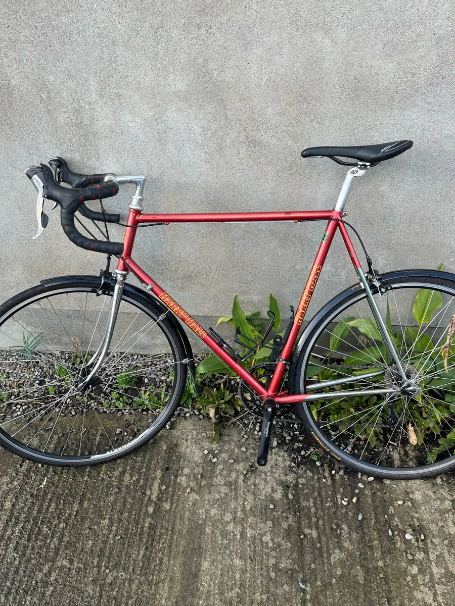 Road Bike XL Steel - Image 1