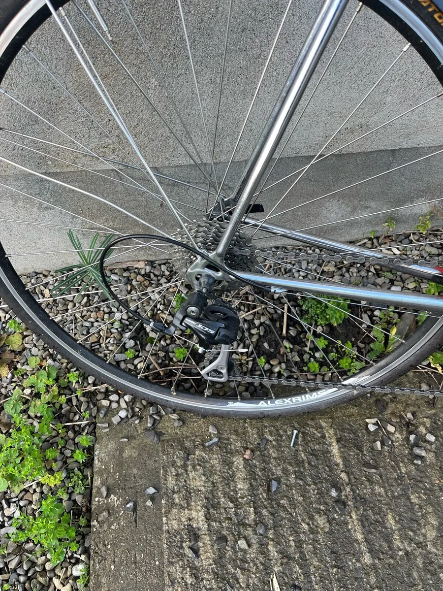 Road Bike XL Steel - Image 4
