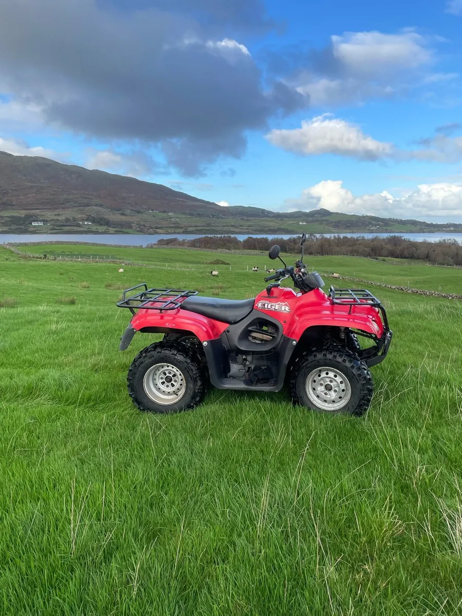 Suzuki Eiger 400 - Image 2