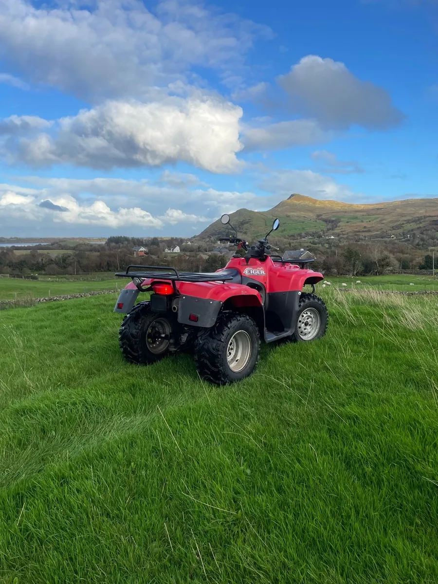 Suzuki Eiger 400 - Image 3