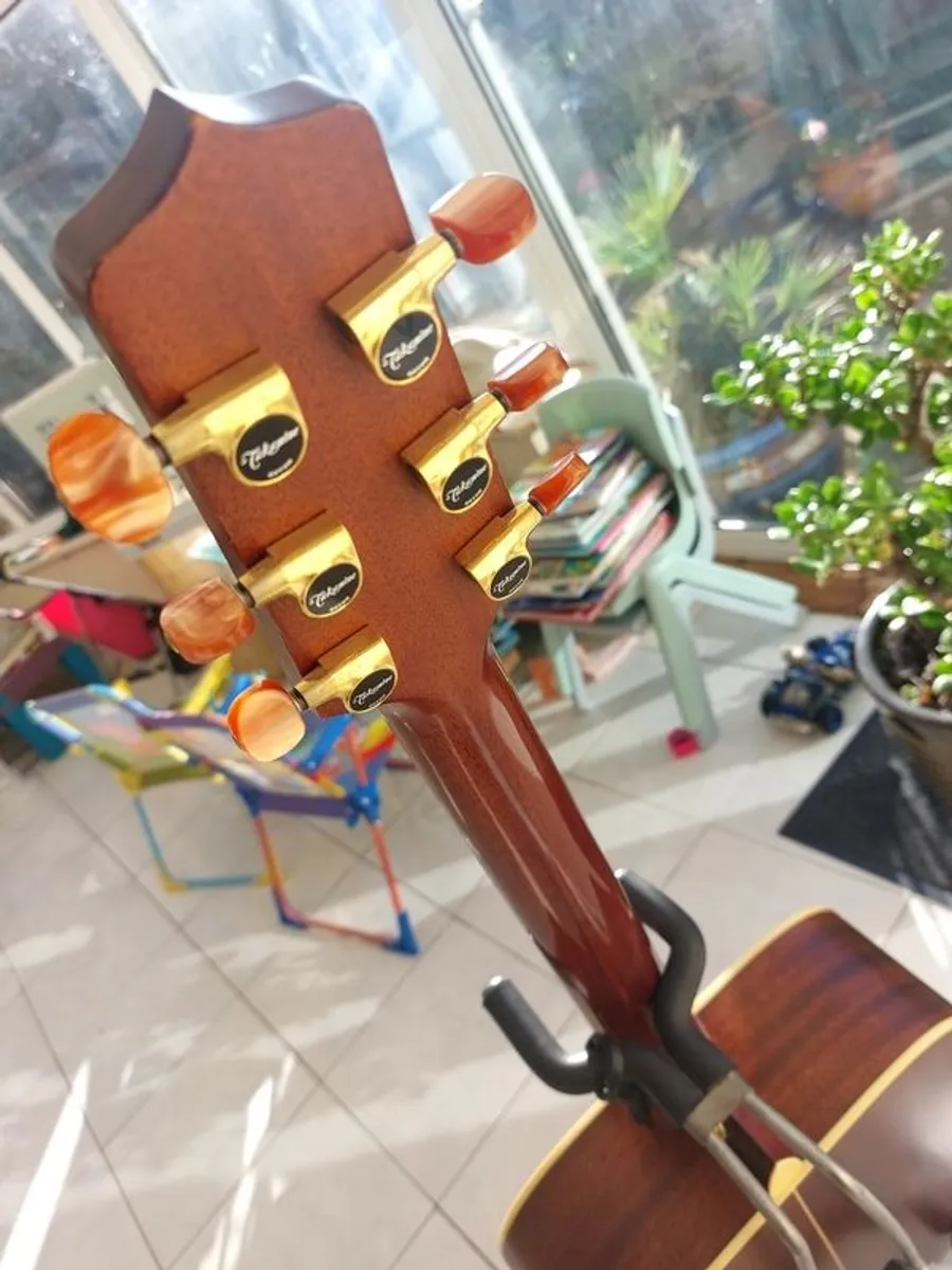 Takamine AN10 2004 Acoustic Guitar - Image 2
