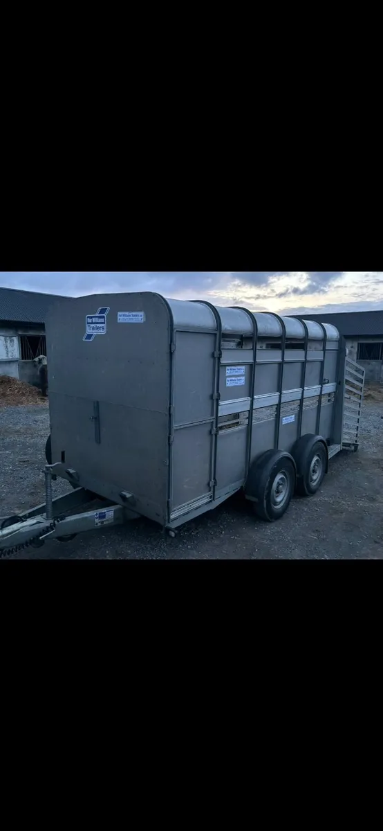 2021 Ivor Williams cattle trailer - Image 1