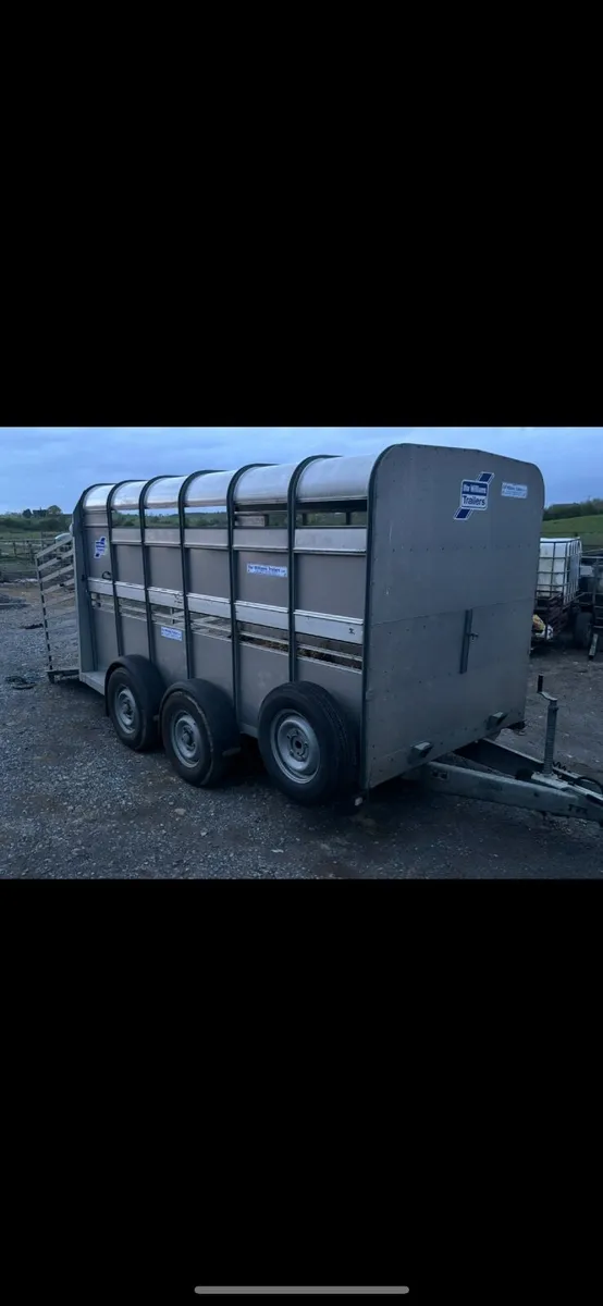 2021 Ivor Williams cattle trailer - Image 2