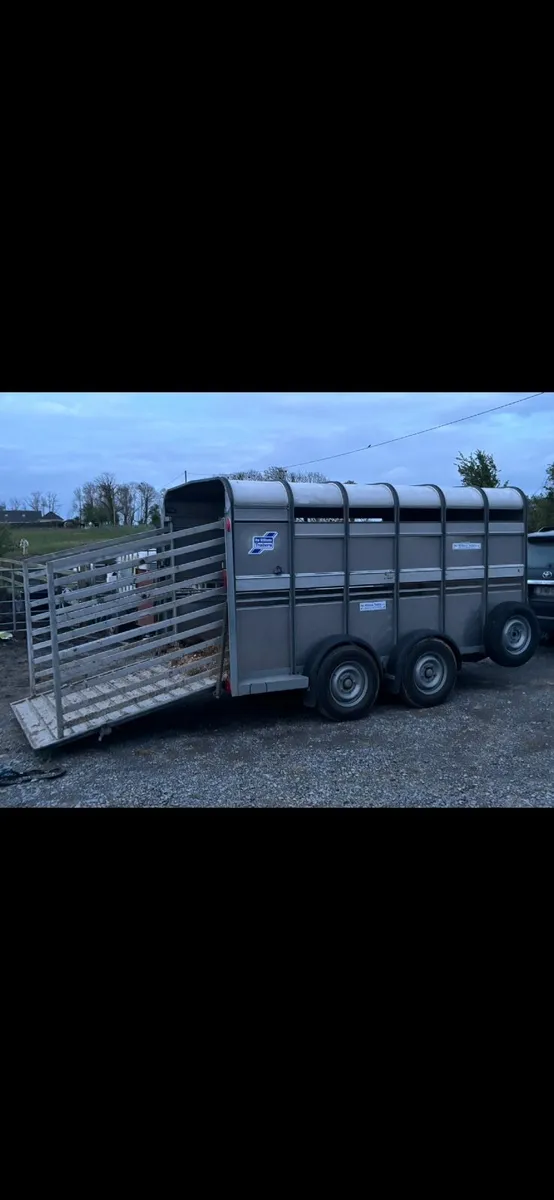 2021 Ivor Williams cattle trailer - Image 3