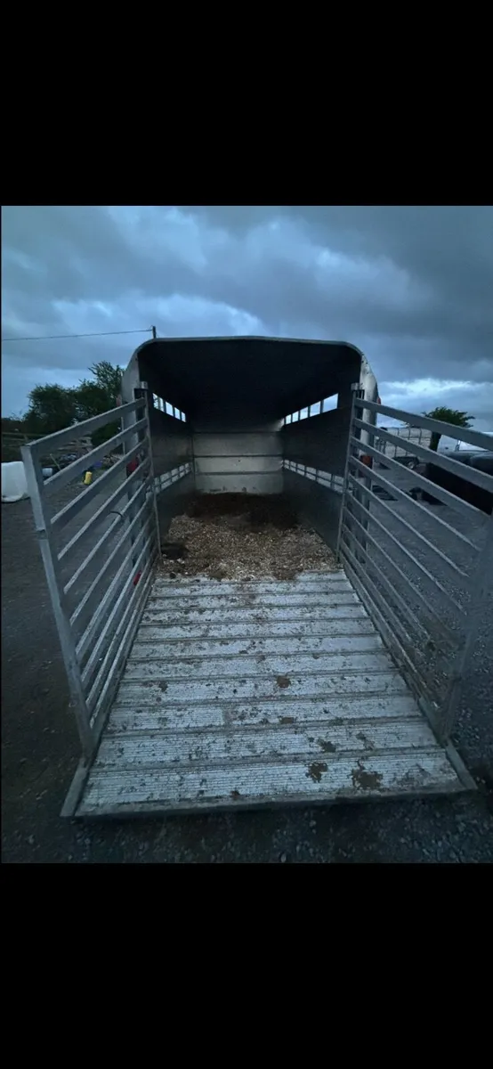 2021 Ivor Williams cattle trailer - Image 4