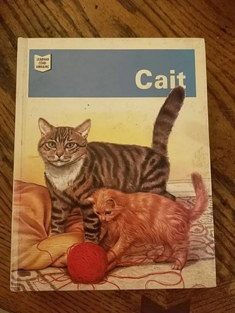 Children Book Irish Gaeilge Gaelic Language - Image 1