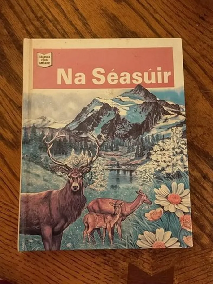 Children Book Irish Gaeilge Gaelic Language - Image 2
