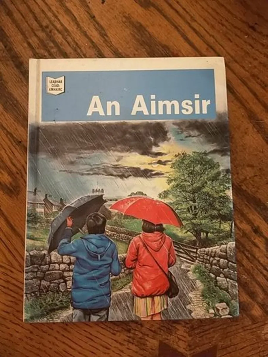 Children Book Irish Gaeilge Gaelic Language - Image 4