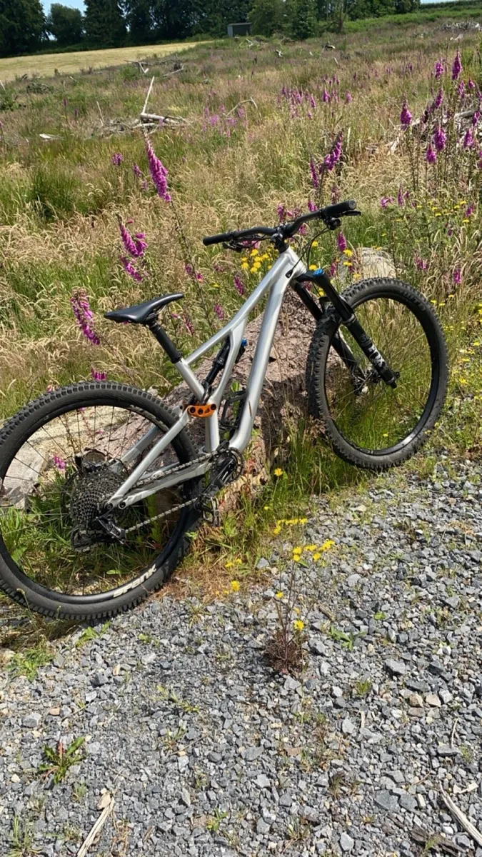 Specialised mountain bike - Image 2