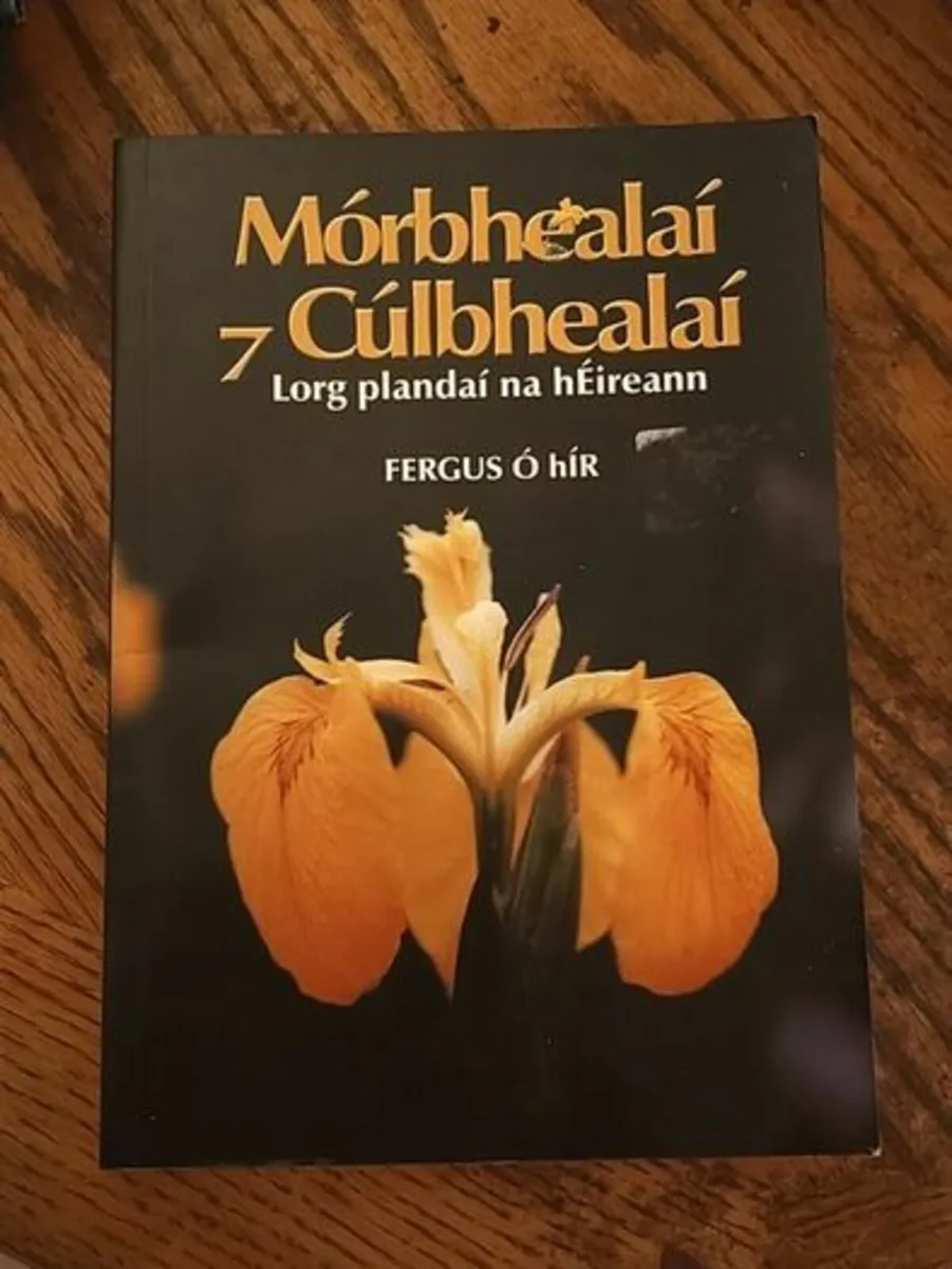 Morbhealai & Culbhealai Lorg plandai na hEireann