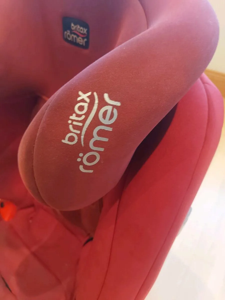 Cat seat - Image 2