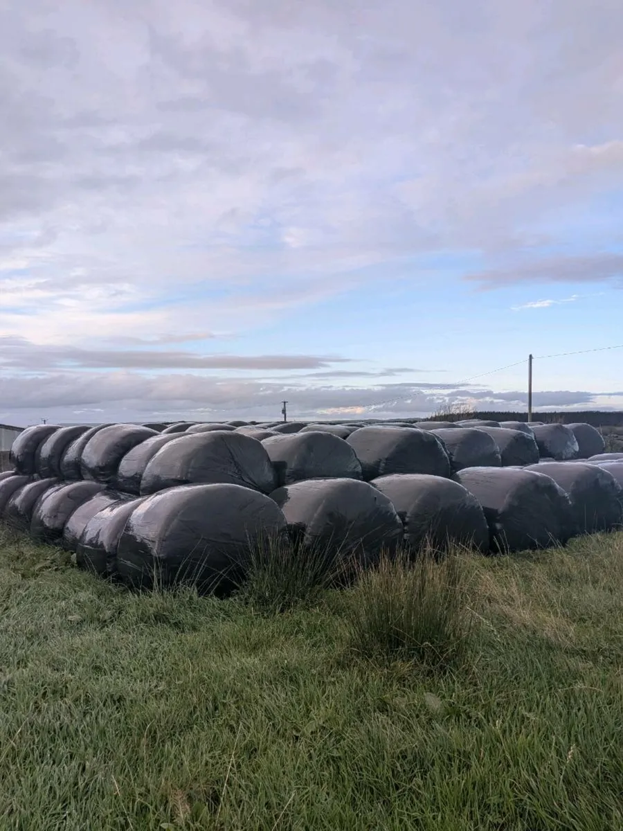 West Clare Silage Bales - Image 1