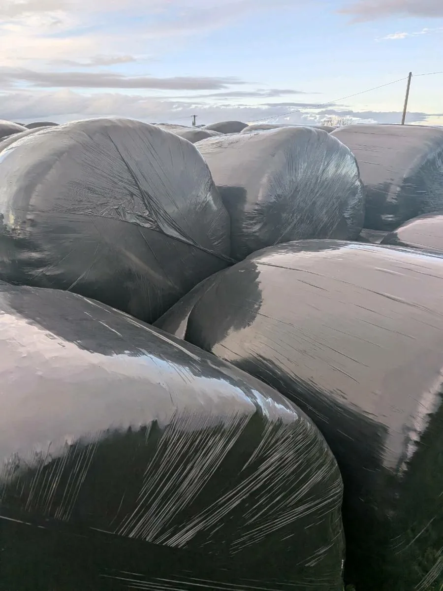 West Clare Silage Bales - Image 2