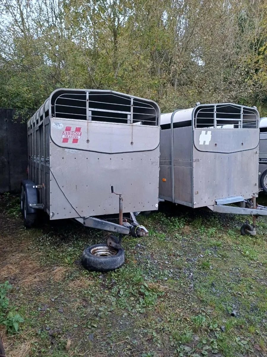 2 x Hudson 12ft  cattle trailer €5000 EUROS - Image 2