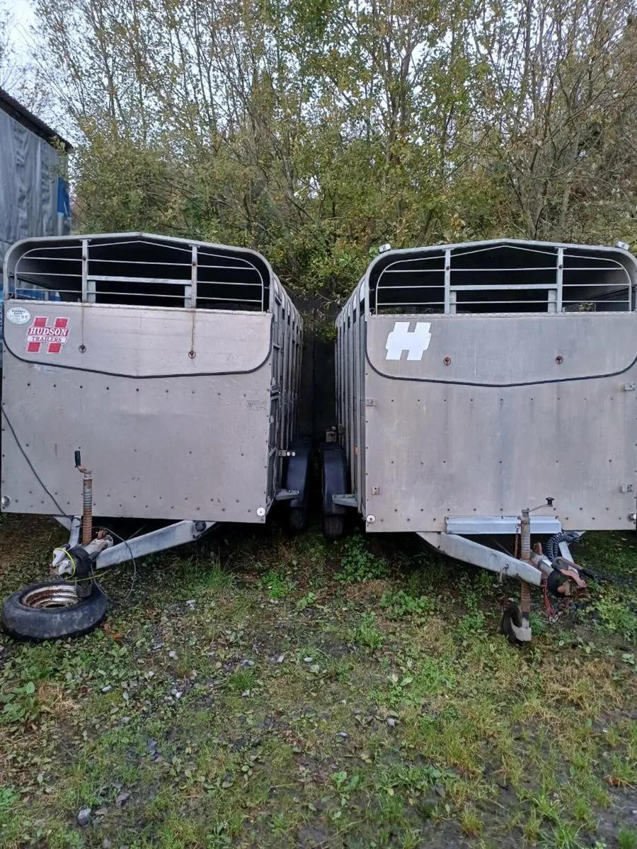 2 x Hudson 12ft  cattle trailer €5000 EUROS - Image 1