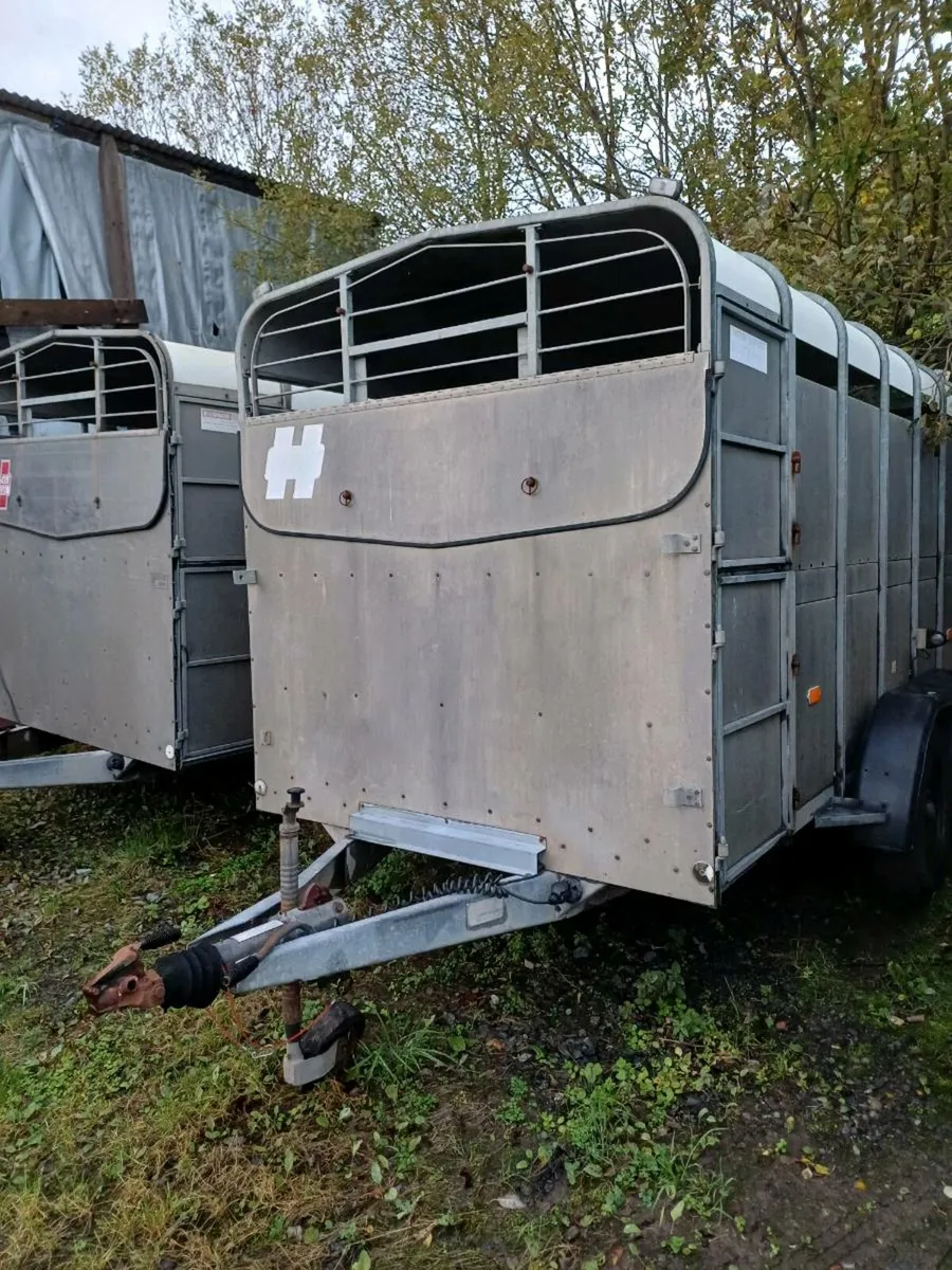 2 x Hudson 12ft  cattle trailer €5000 EUROS - Image 3