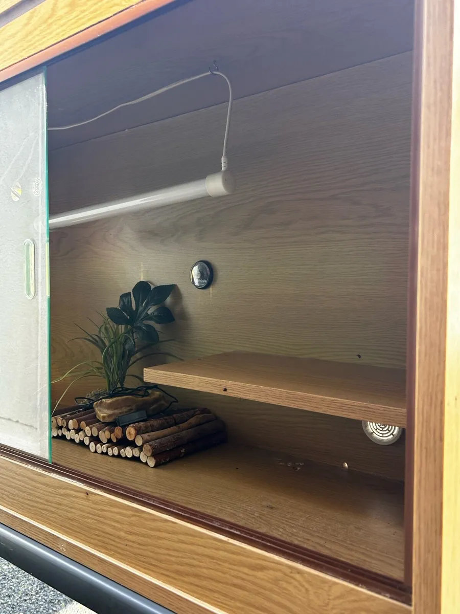 Reptile Vivarium with lights - Image 2