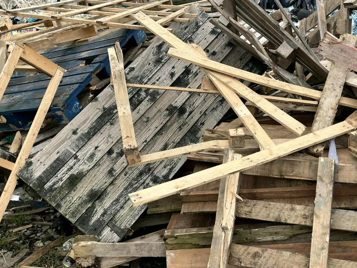 Kindling/firewood - Image 1
