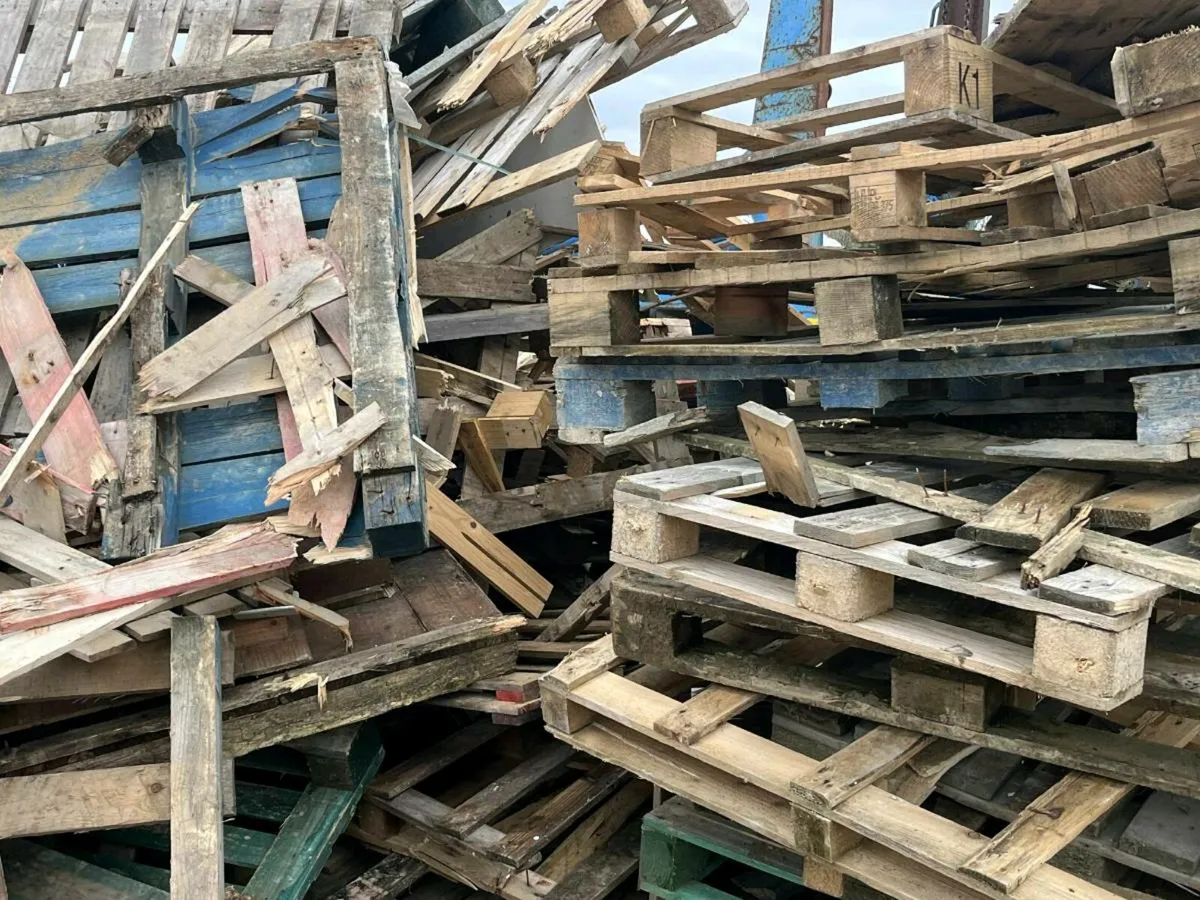 Kindling/firewood - Image 4