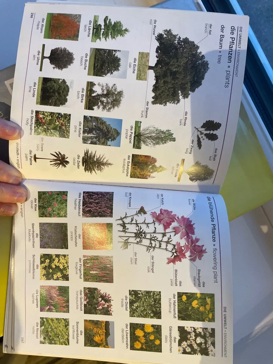 German language Books - Image 4