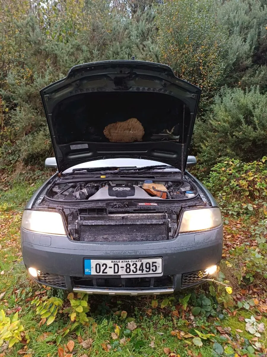 Audi A6 Allroad V6 diesel - Image 2