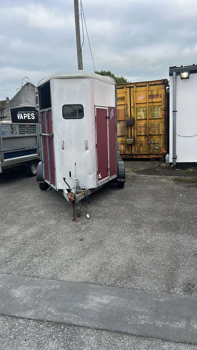 Ifor Williams 505 hunter horse box - Image 1