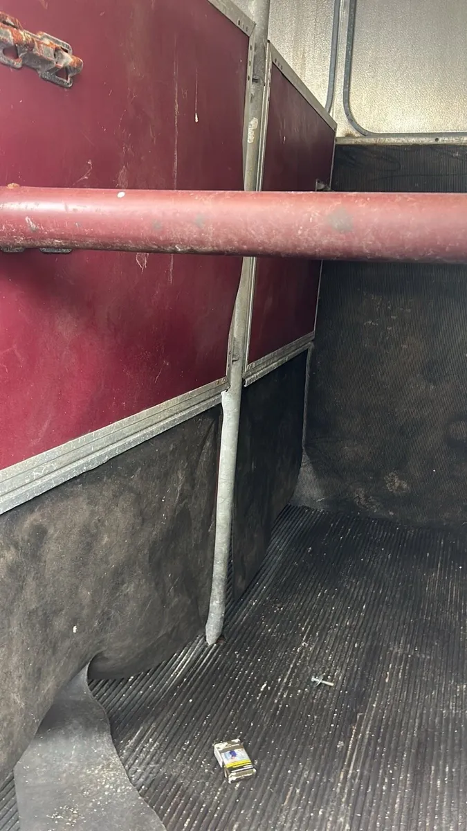 Ifor Williams 505 hunter horse box - Image 2