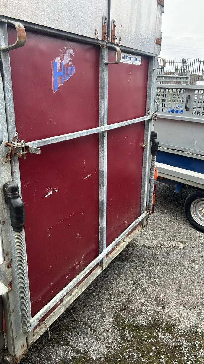 Ifor Williams 505 hunter horse box - Image 3
