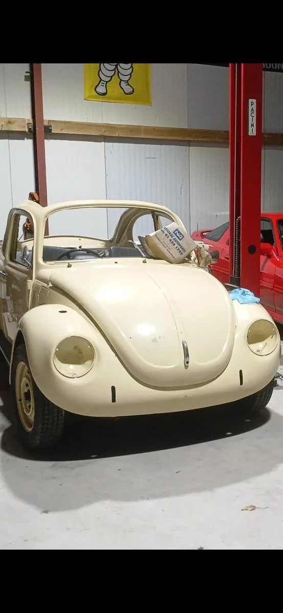 Vw beetle - Image 1