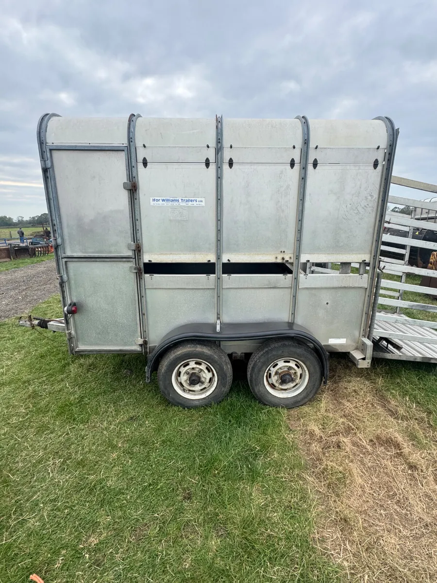 Ifor Williams 8x5 - Image 4