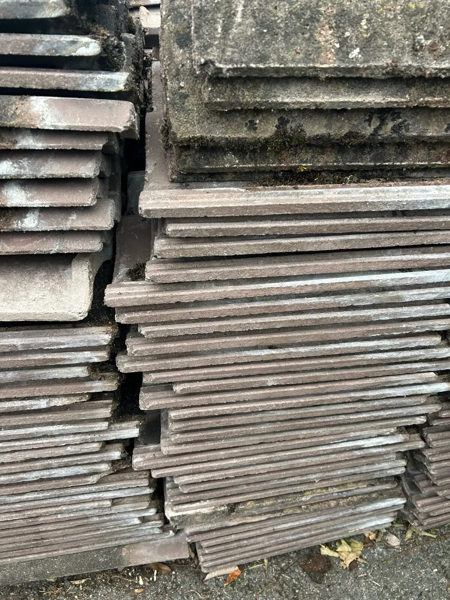 Spanish Roles Tiles - Image 1