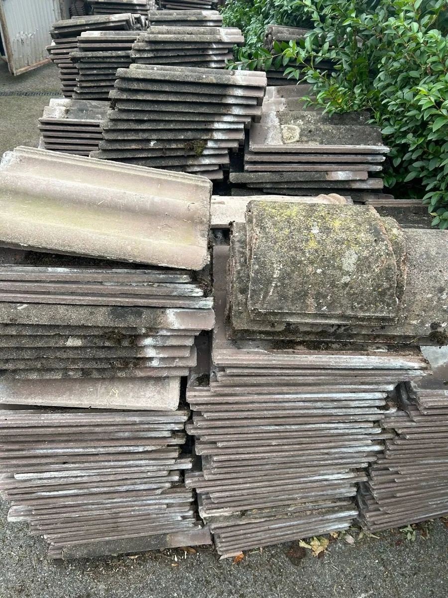 Spanish Roles Tiles - Image 3