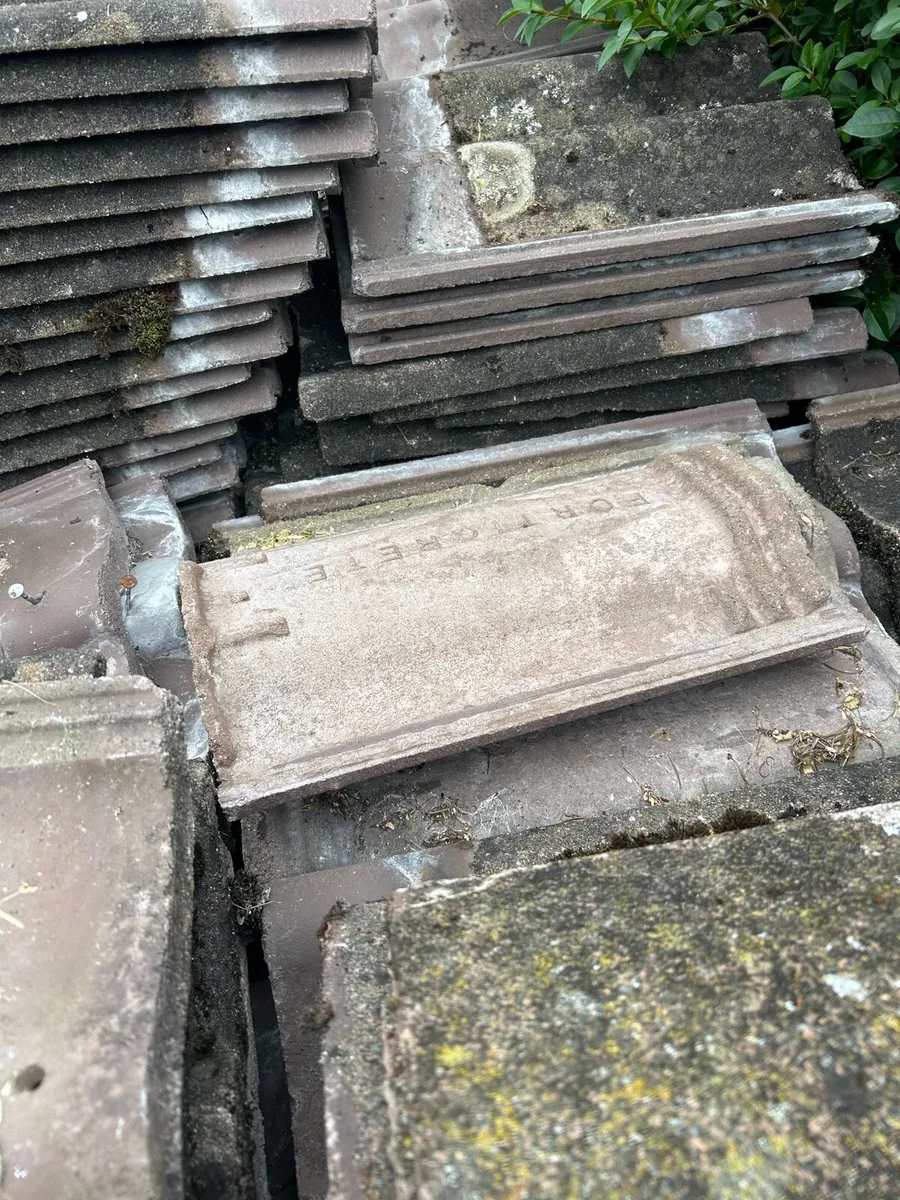 Spanish Roles Tiles - Image 4