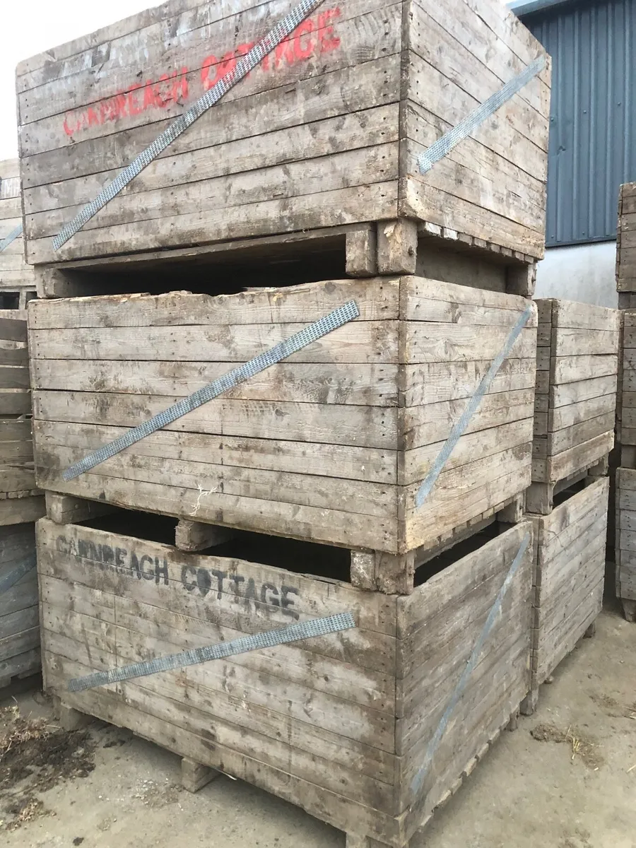 Potato boxes - Image 2