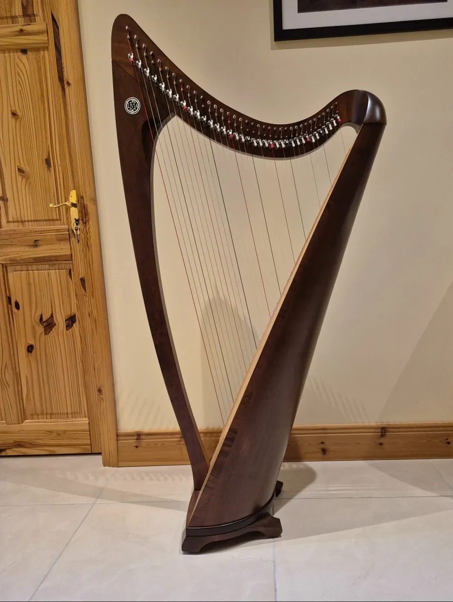 Salvi Harp - Image 1