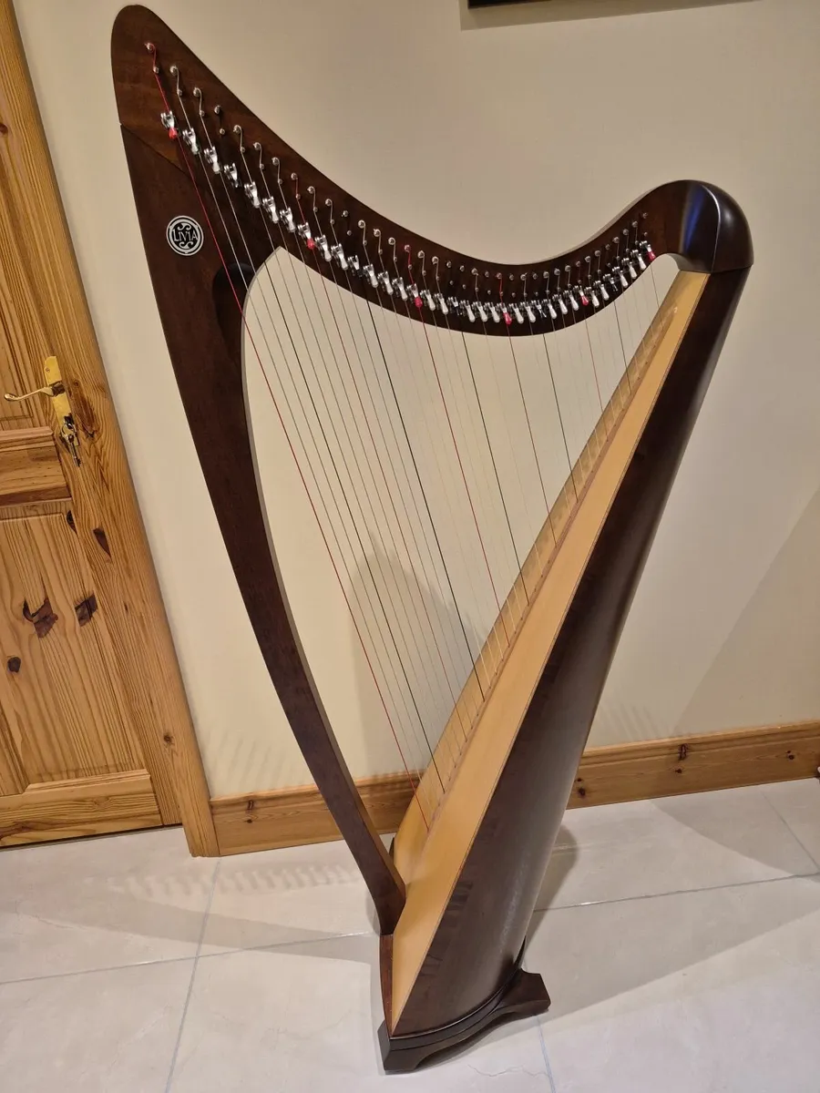 Salvi Harp - Image 3