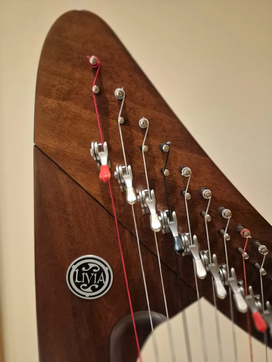 Salvi Harp - Image 4