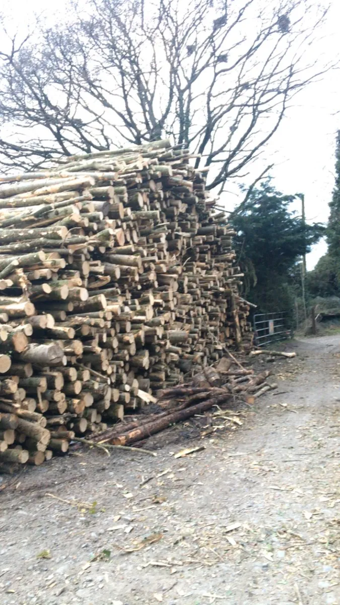 Seasoned Firewood - Image 1