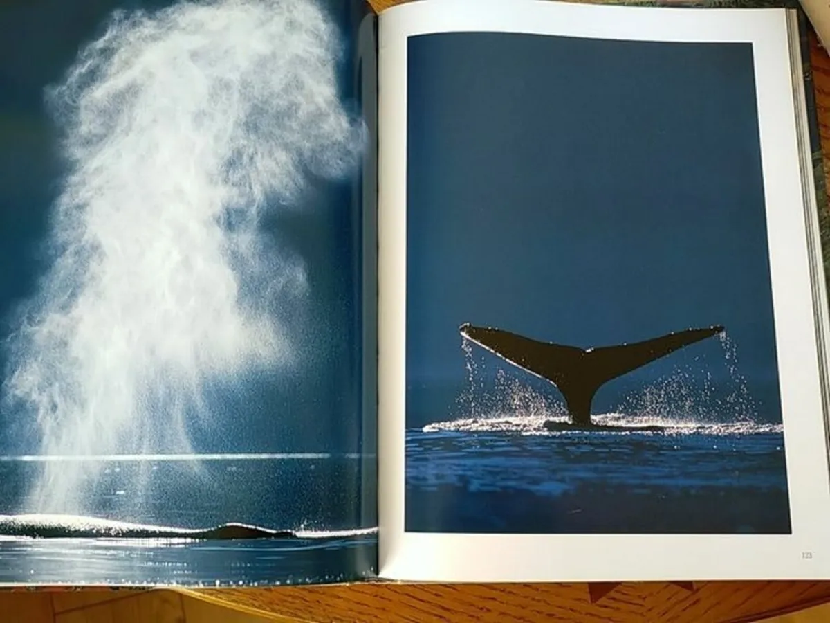 Alaska Coffee Table Book - Image 2