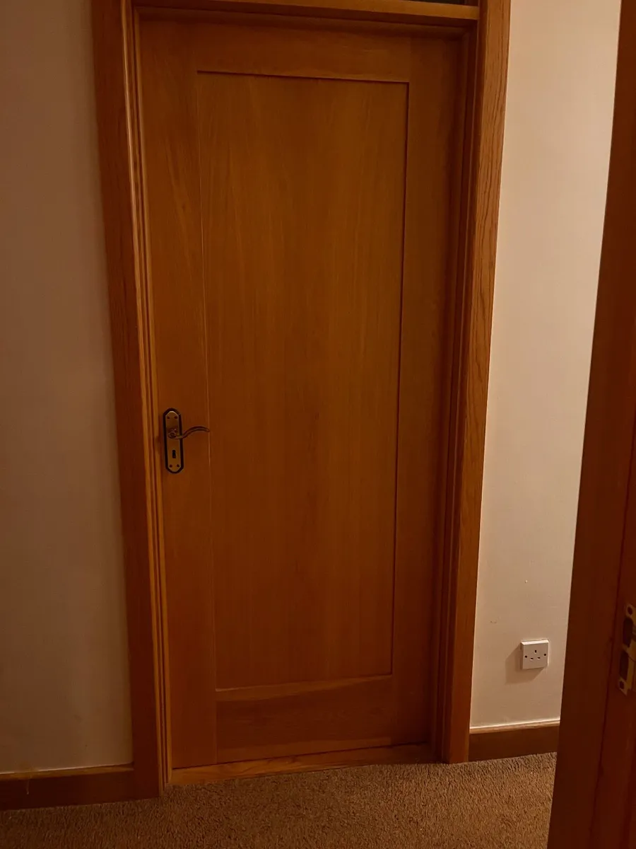 Internal doors - Image 1
