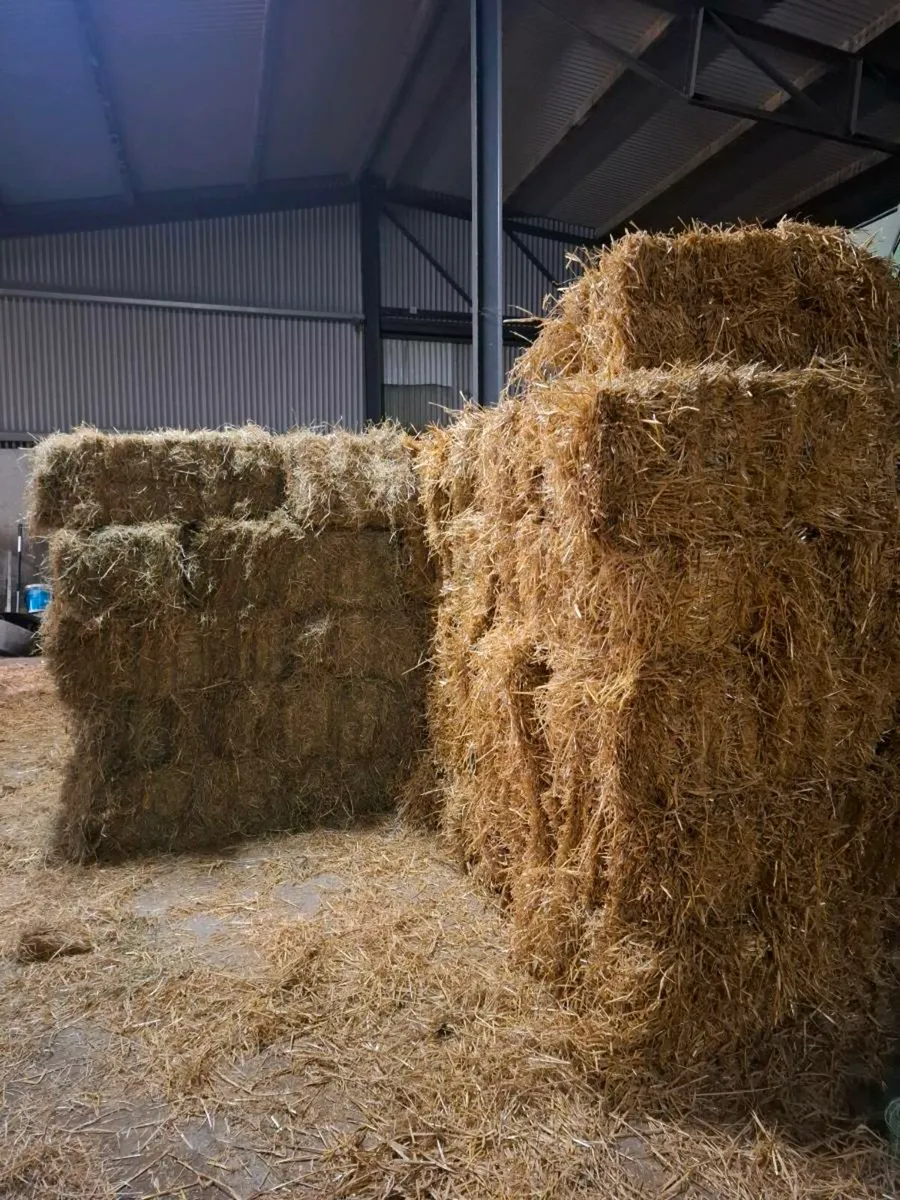 Small Square Bales. Hay & straw - Image 1