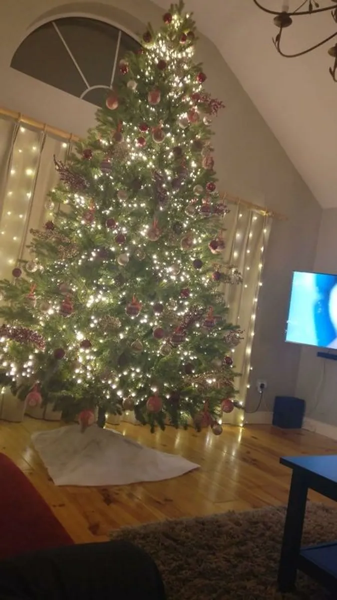 Christmas Tree 12ft - Image 2