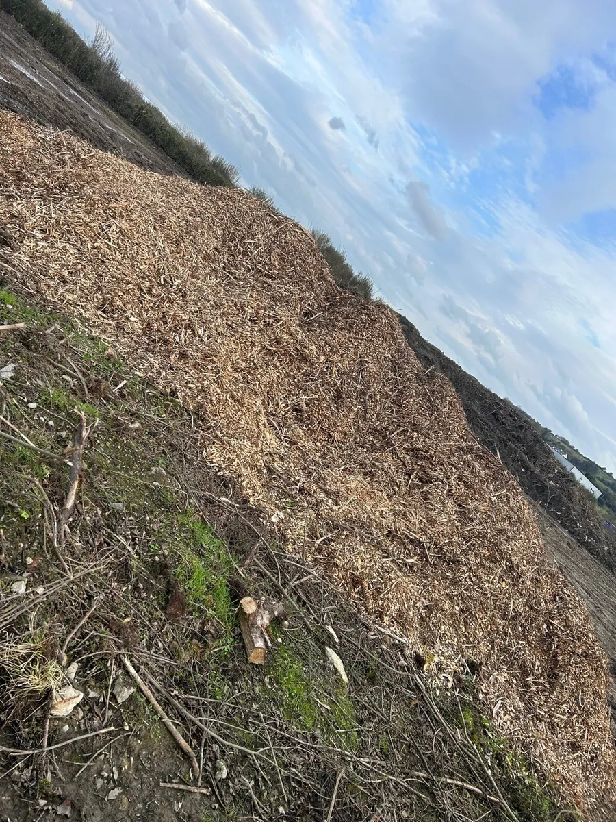 Woodchip - Image 1