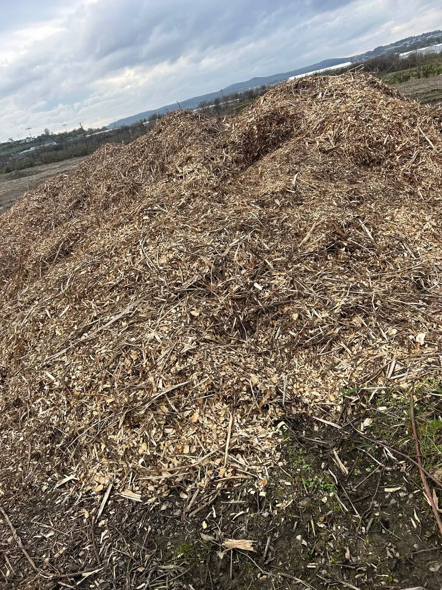 Woodchip - Image 3