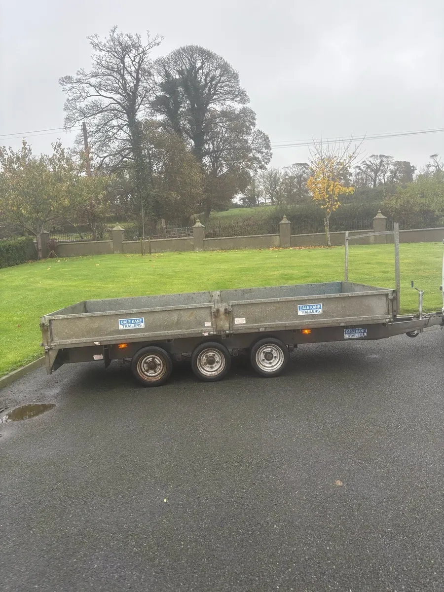 14ft Dale Kane trailer - Image 2