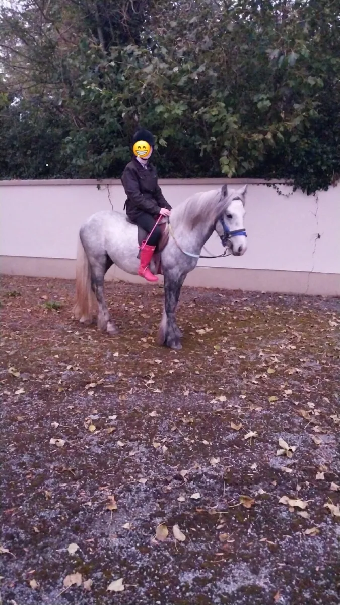 Pony - Image 2