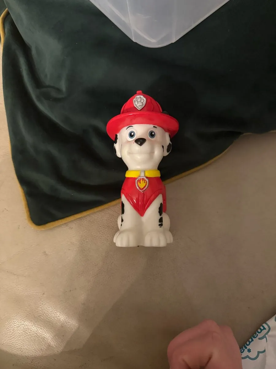 Paw patrol toy light