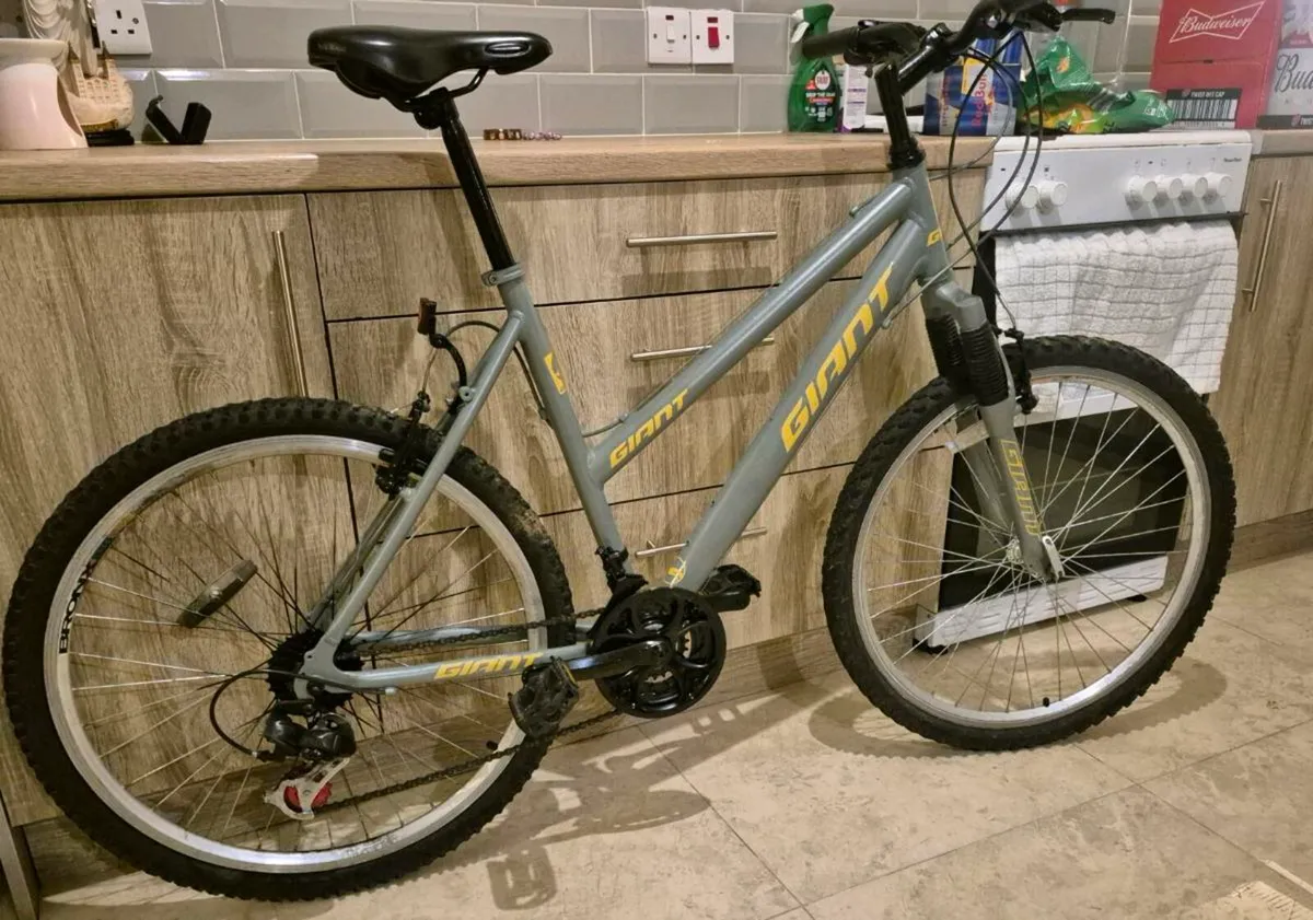 ADULTS GIANT BIKE
20" FRAME MEDIUM) 24 GEARS AND H - Image 2