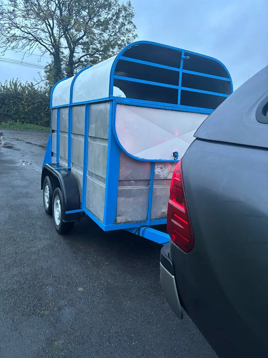 8f Cattle trailer - Image 1