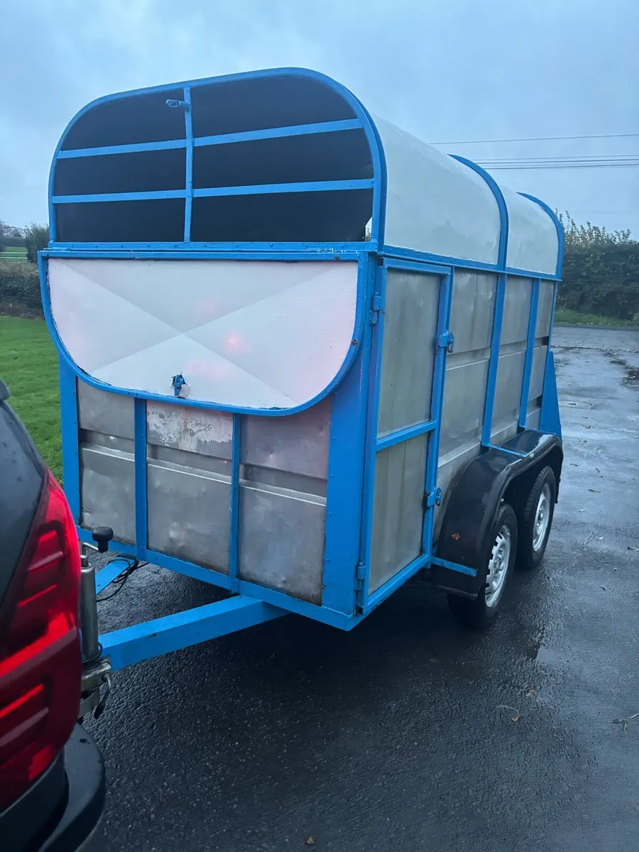 8f Cattle trailer - Image 2